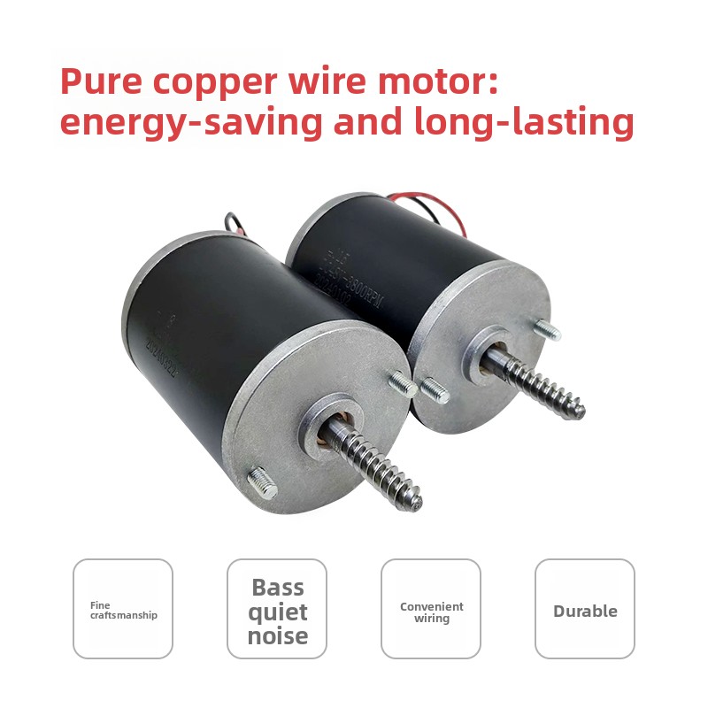 Durable 24V 48V Motor for Claw - Crane Claw Motor ulasan dan harga